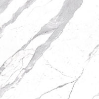 MVSEVM Tulip Outdoor