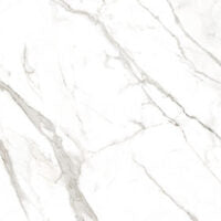 MVSEVM Tulip Outdoor