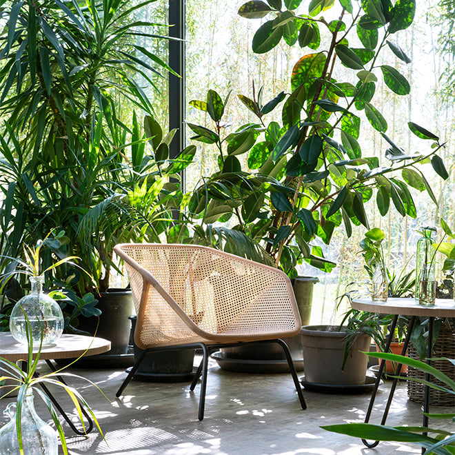 Armchairs_Colony_Miniforms