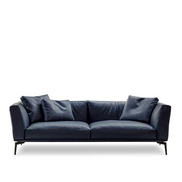 Modern Sofas + Chaise + Sectionals